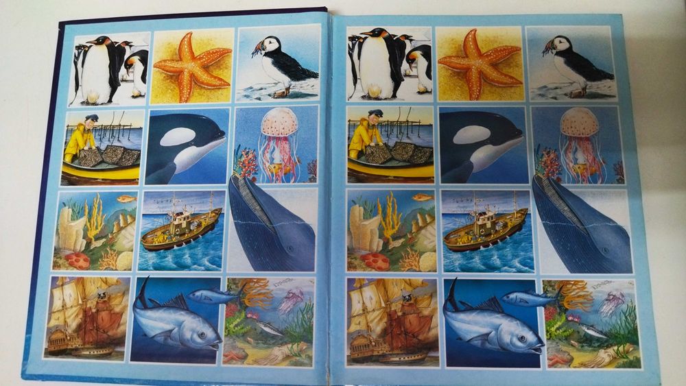 Dicionário por imagens do mar - Émilie Beaumont