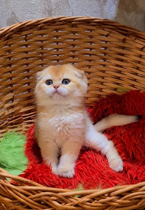 Дуууже класний малюк