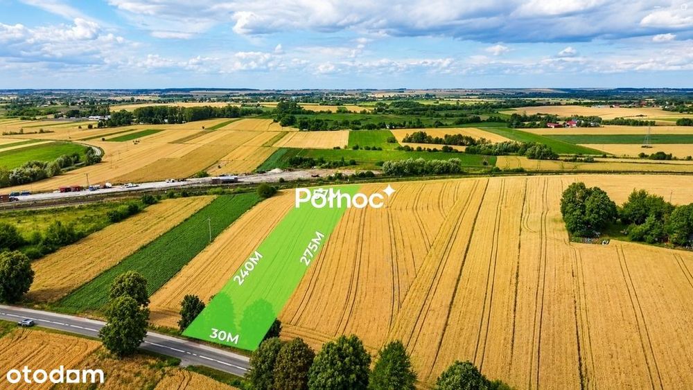 1 ha pola w granicach miasta Hrubieszów