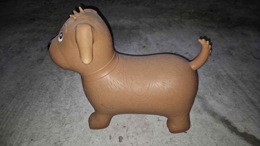 Cãozinho de borracha para crianças 
10€