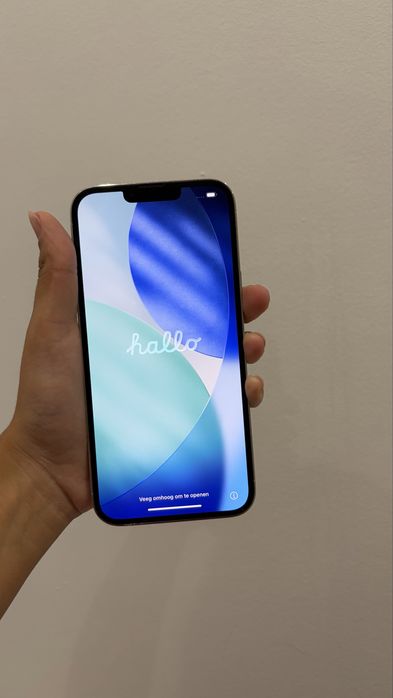 iphone 13 pro max 256 gb