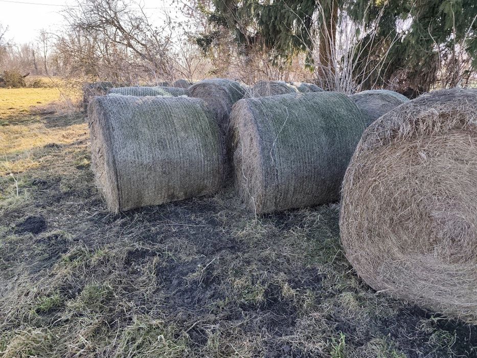 Sprzedam siano pierwszy pokos