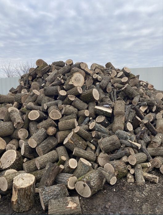 Продам дрова з Лісництва дуб,граб,береза,вільха