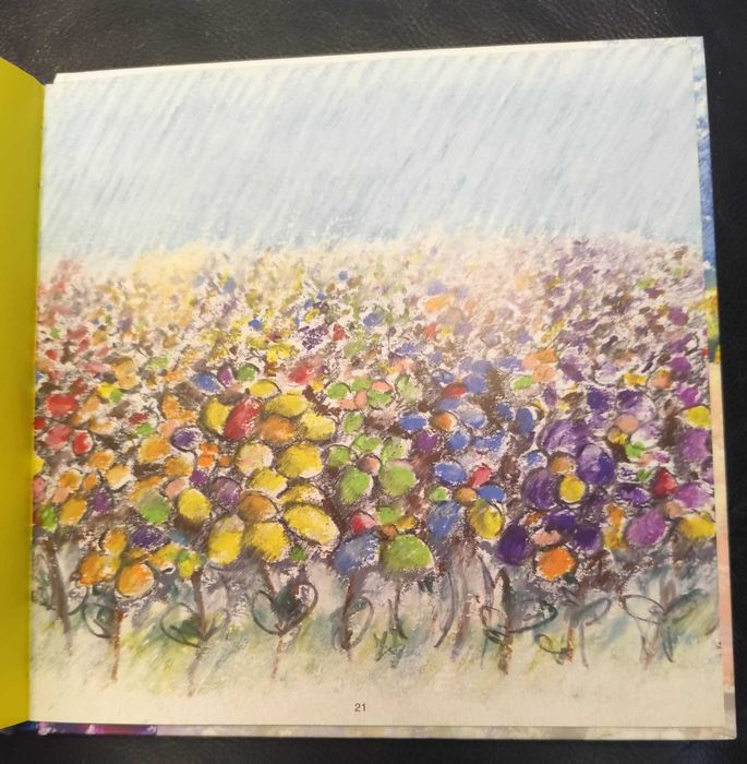 Livro infantil em muito bom estado