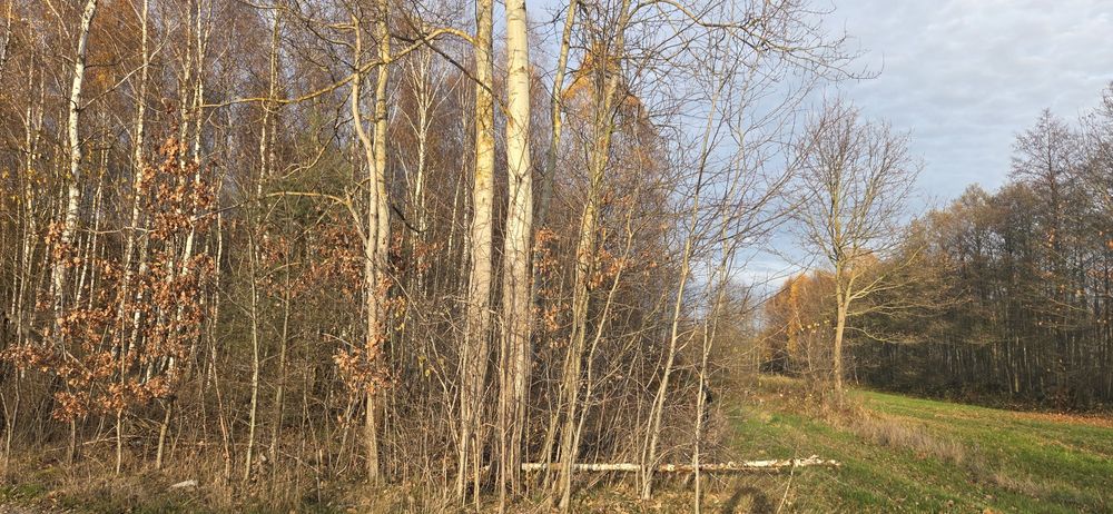 Działka rekreacja  pole