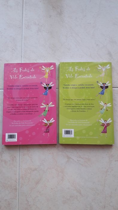 Livros As Fadas do Vale Encantado