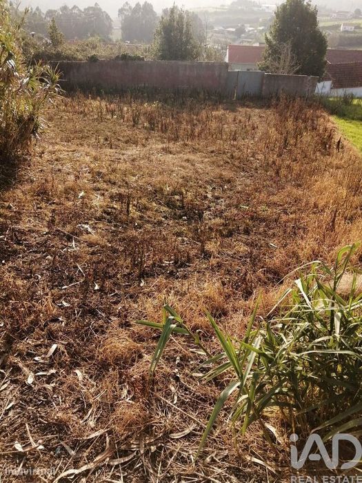 Terreno em Salir de Matos de 340,00 m2
