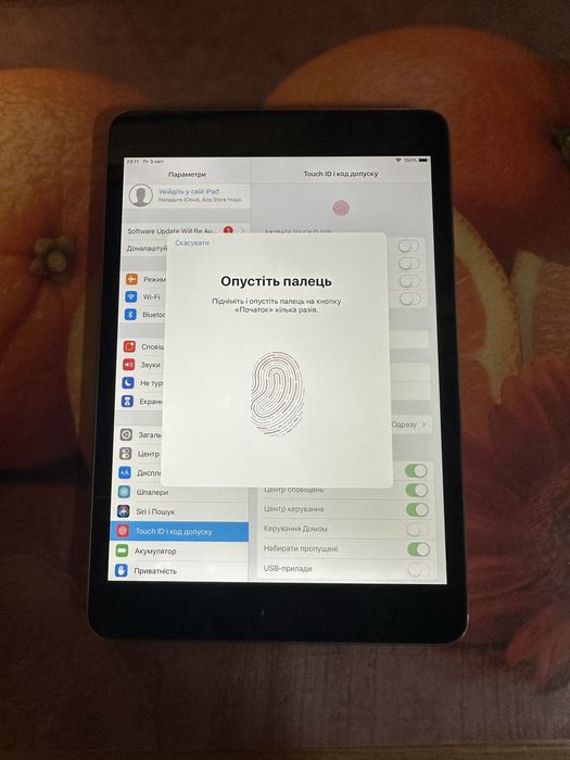 iPad mini 3/64gb Wifi