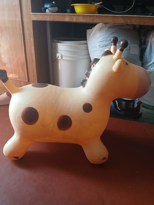 Детский попрыгун