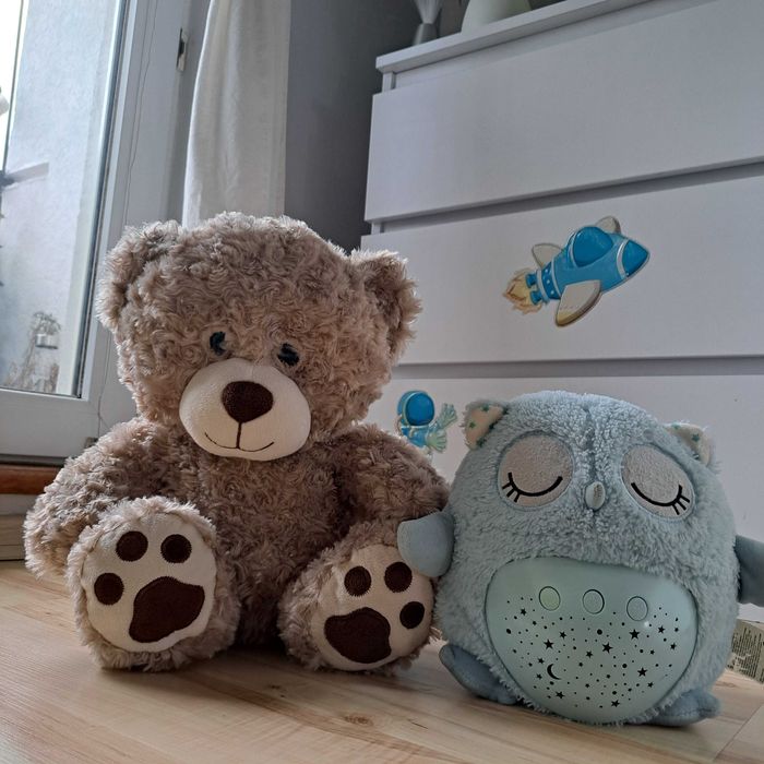 Interaktywny miś projektor sowa