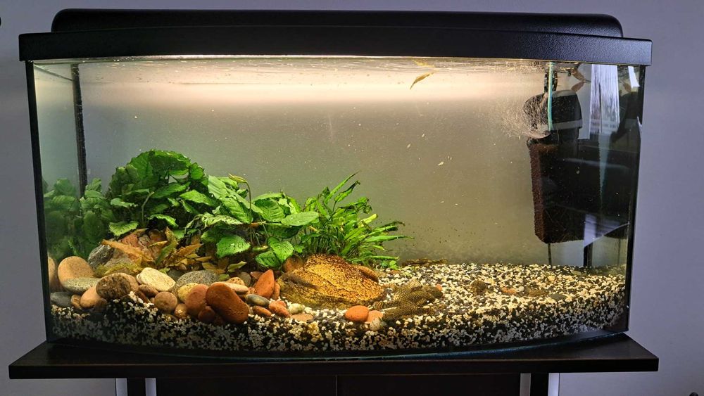 Akwarium 100l. razem z szafką