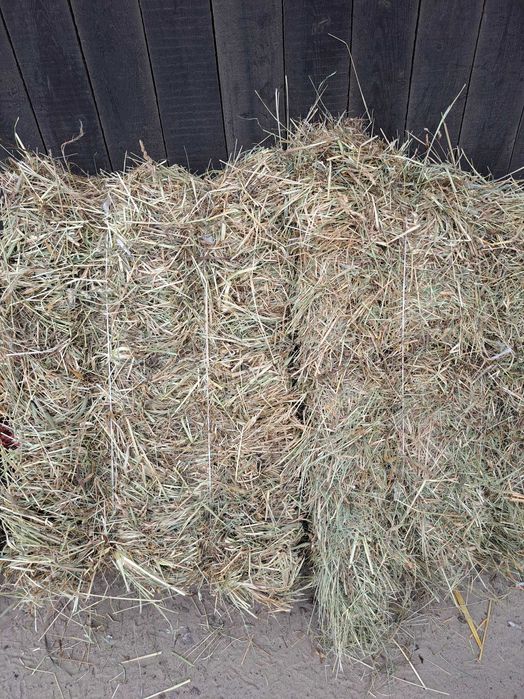 Sprzedam siano 2025