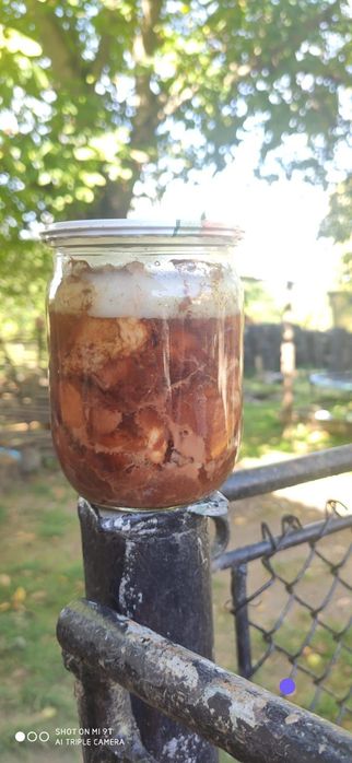 тушонка мясо з дичини