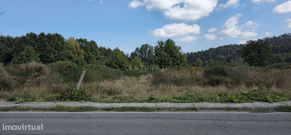 Terreno Rústico em Lousada - Oportunidade Única por 210.000€