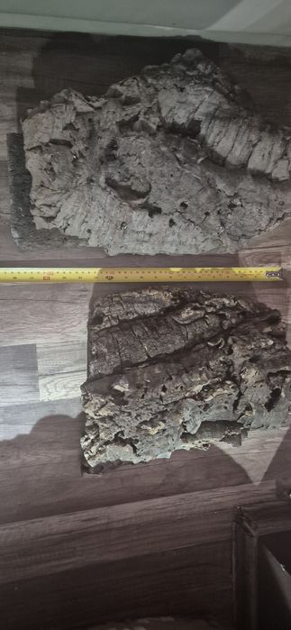 Kora debu korkowego, rosliny sztuczne