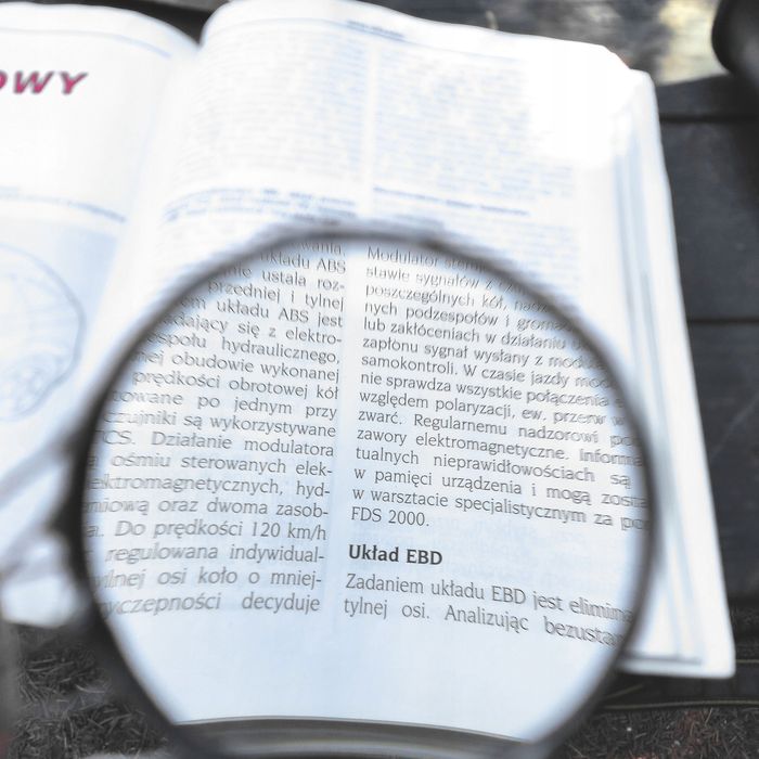 Kula - wisior lupa na łańcuszku