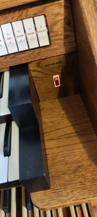 JOHANNUS OPUS 205 ( małopolska) 

ZAWODOWY INSTRUMENT! 

Dla ucznia 
D