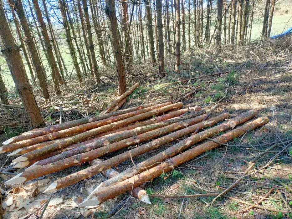 Kołki ogrodzeniowe, słupki, pale , ogrodzenie