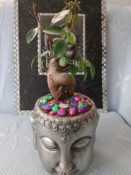 Conjunto de três peças de relaxamento