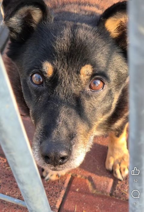 Derbi blaga o dom, ma czas do końca roku