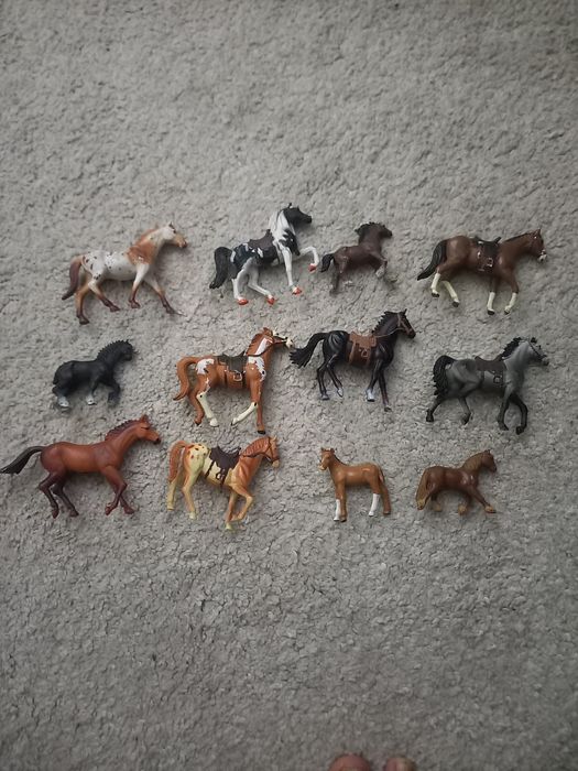 Cavalos com e sem sela