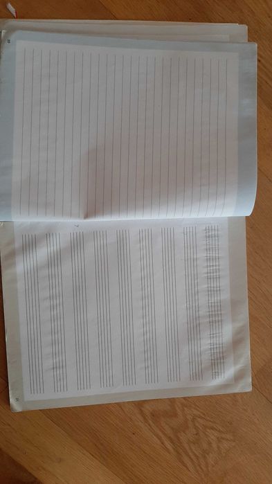 100% Música  - texto 5°ano caderno de actividades