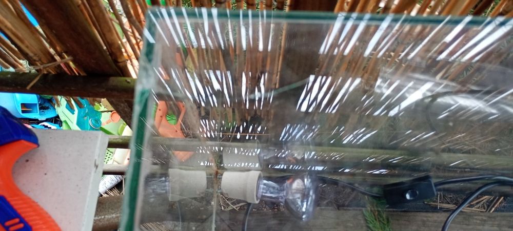 Terarium z oświetleniem