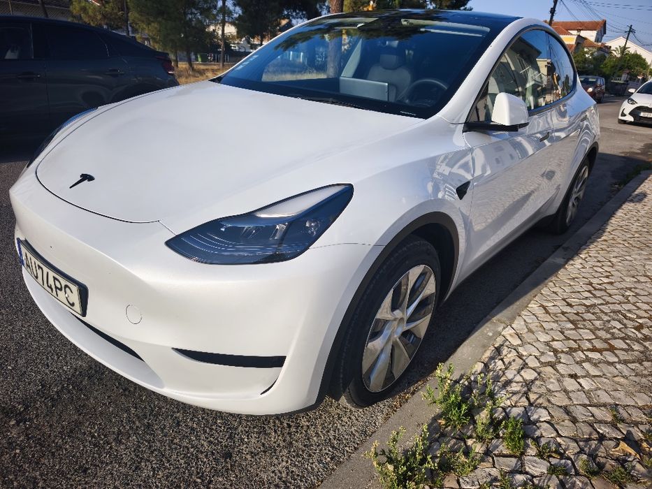 Tesla  y standard