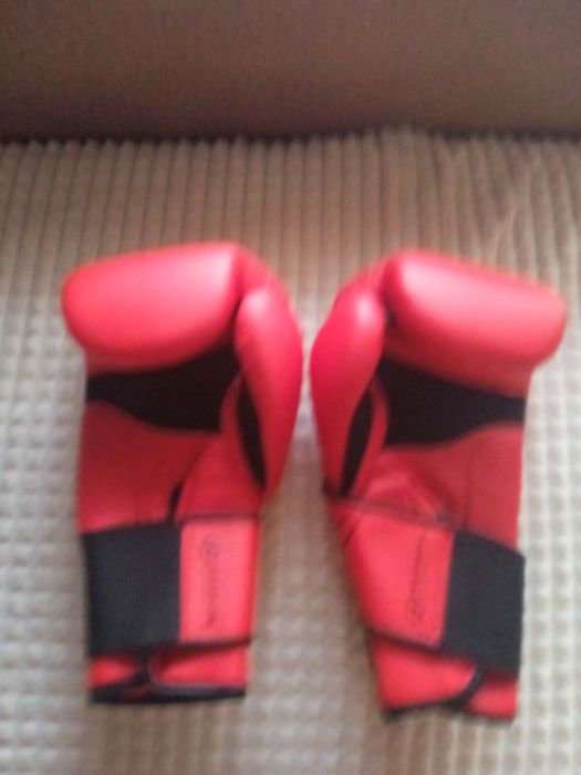 Luvas de Boxe novas