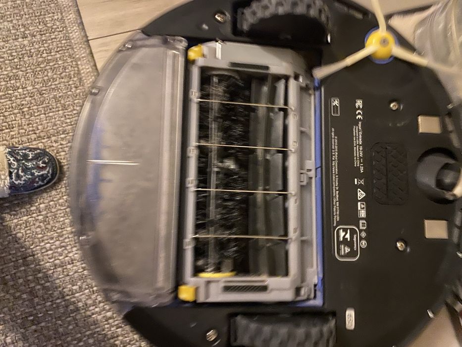 Rumba starszy  model