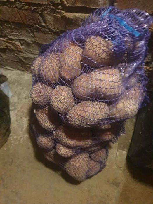 Ziemniaki na Sprzedaż