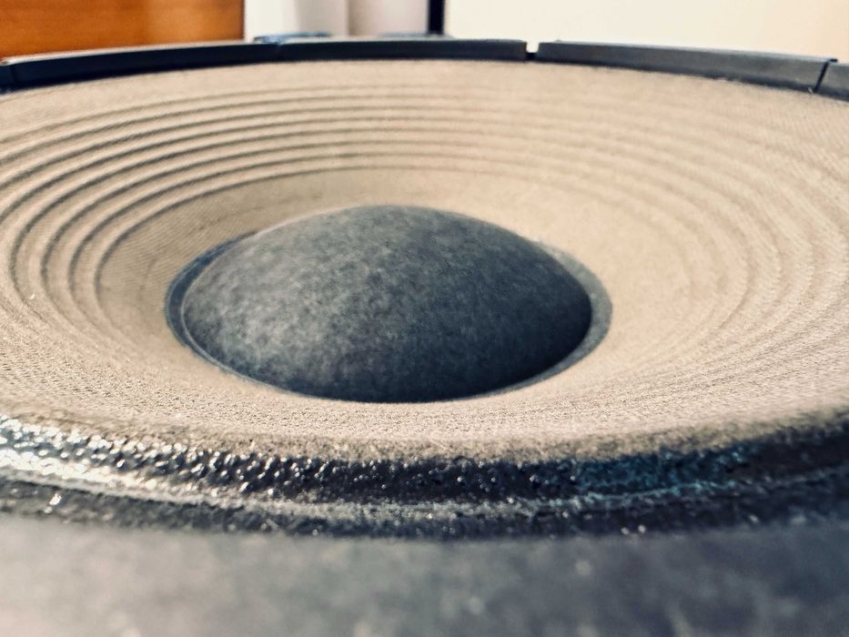 ‼️ Monacor SP-310PA басовый динамик 12" 8Ом 200Вт ℹ️ Германия, PA