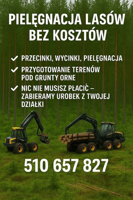 Kompleksowe usługi leśne