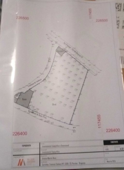 Casa com oliveiras