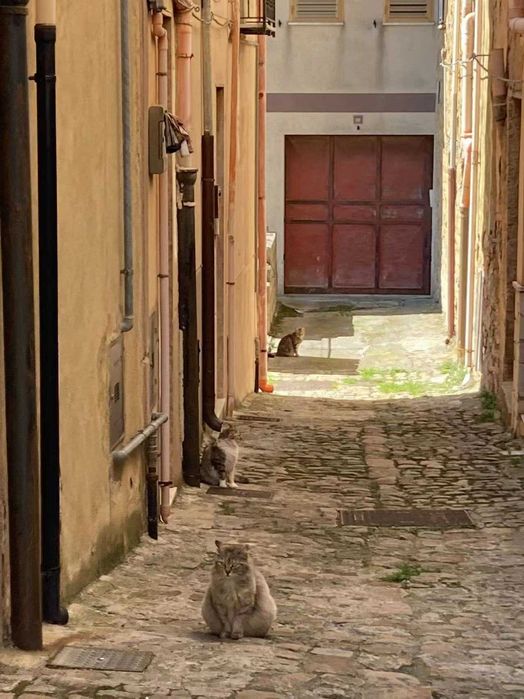 Sycylia czas na wakacje. Dom na wsi. Morze i góry.
