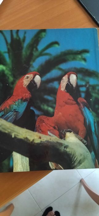 Livro Enciclopédia da Vida Animal