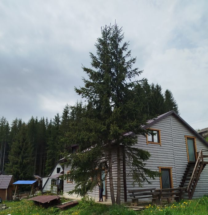 Продаж будинку, міні готелю,  Івано-Франківська область, с.Яблуниця, Карпати, Буковель