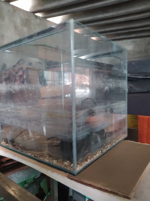 Aquário cubo para criação