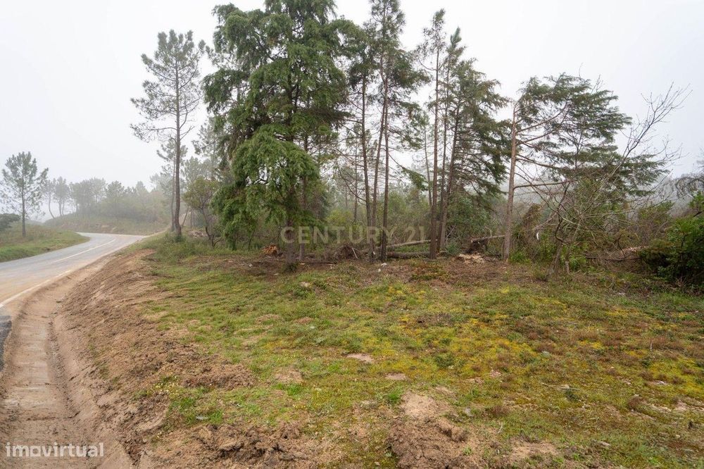 Terreno em Miranda do Corvo- Oportunidade Única por 37.000€