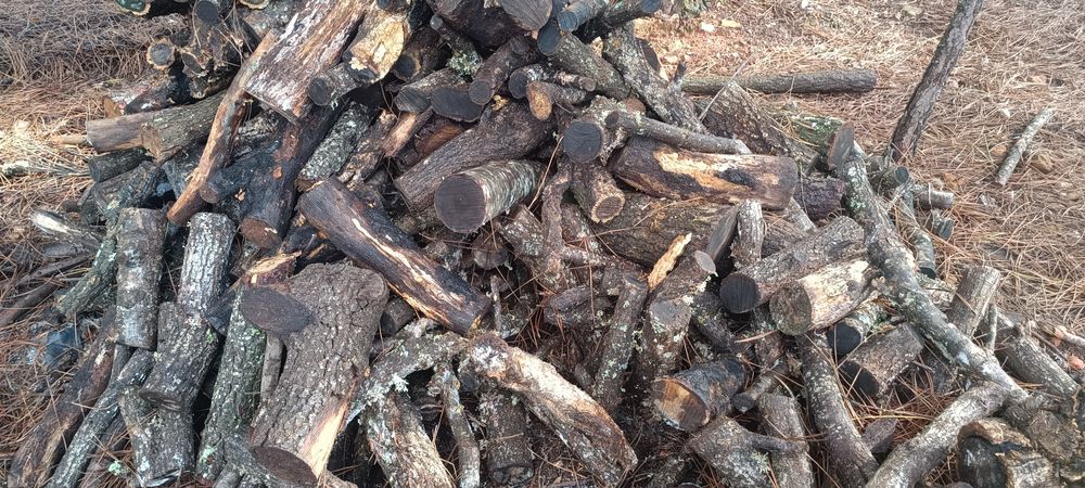 Lenha de carvalho