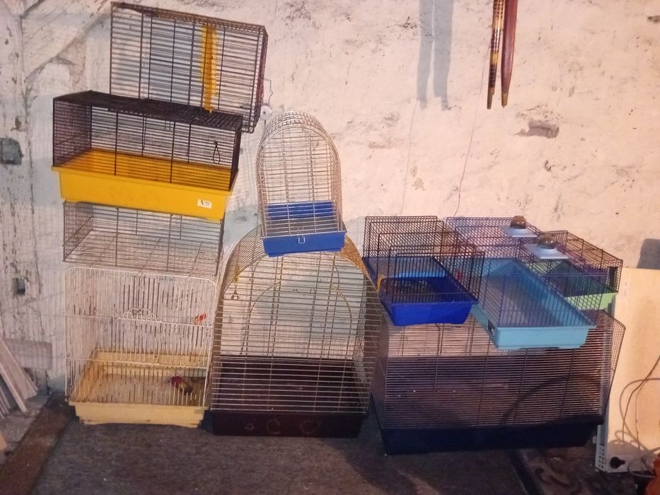 KLATKI dla gryzoni gryzoni