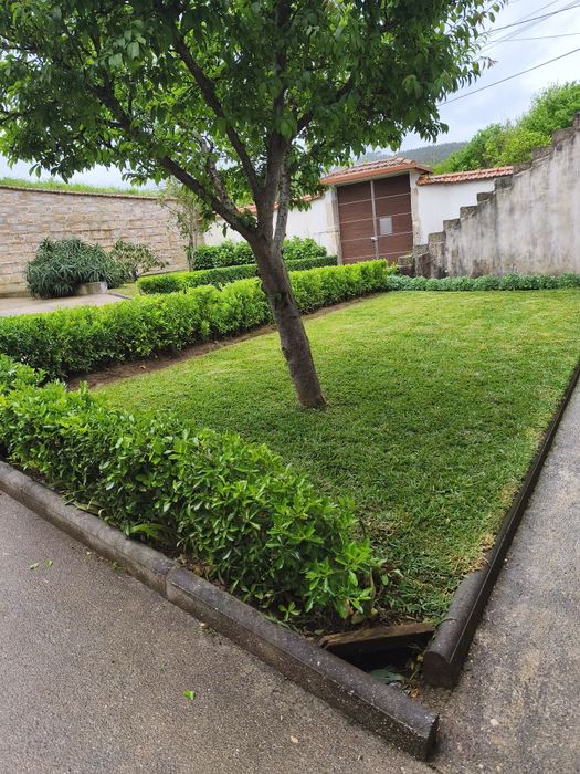Serviços jardinagem
