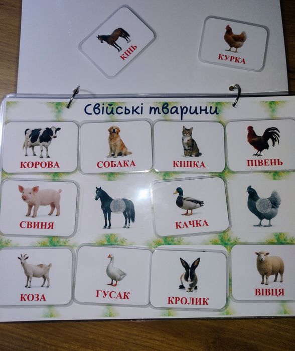 Картки Домана, карточки Домана, картки Домана, карточки домена