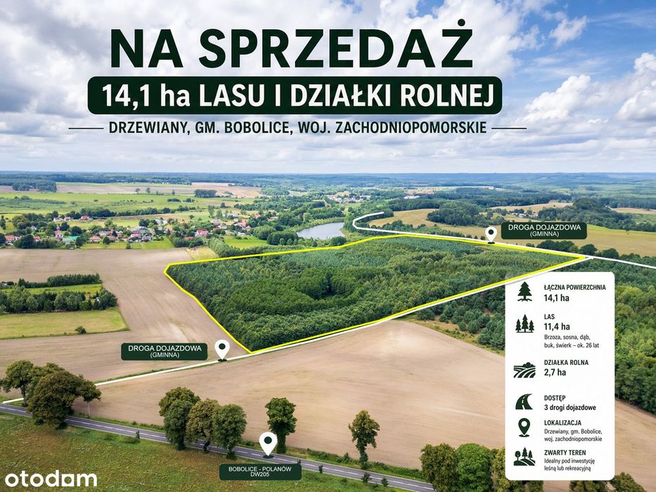 SIEDLISKO / LAS 11,4 ha + działka 2,7 ha | Drzewiany 8KM od drogi S11