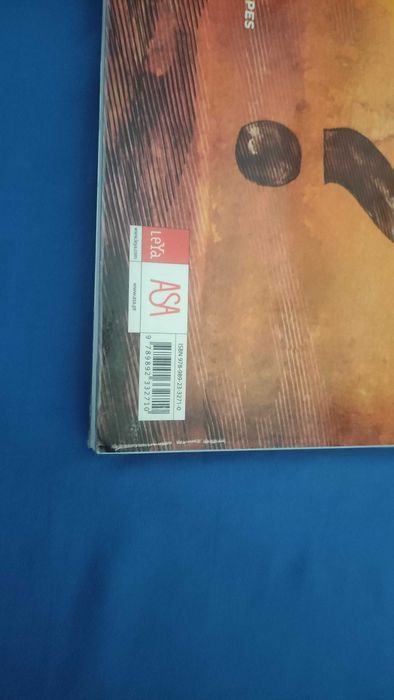 Caderno de atividade - sentido 11