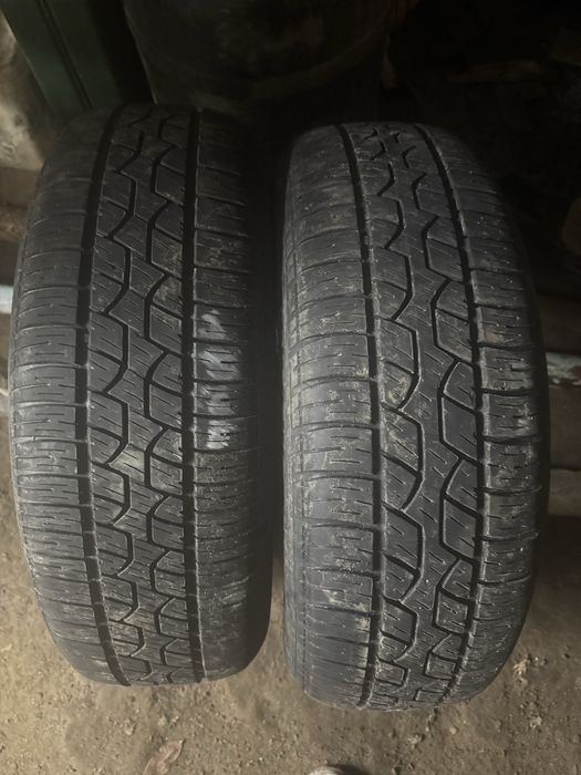 Шини пара літо стан супер 195/65/15