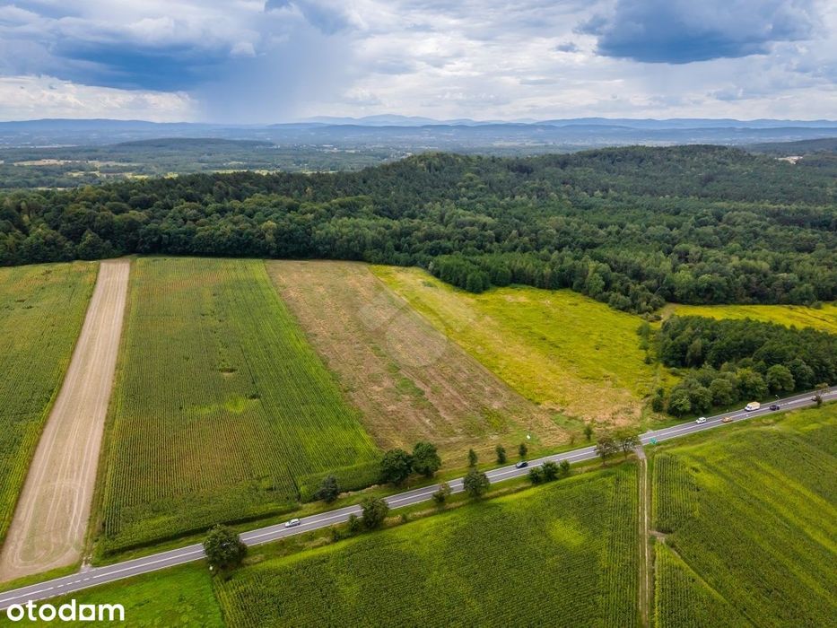 Działka rolna o powierzchni 2,6 ha - Więcej