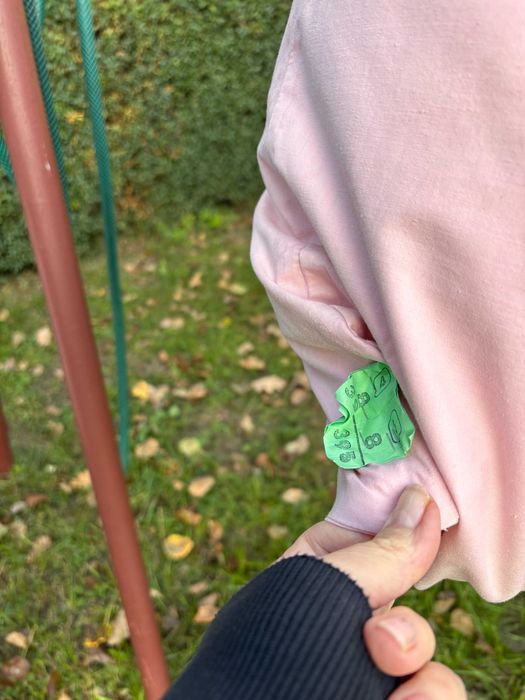 Pierzyna z gęsim pierzem używana 5kg