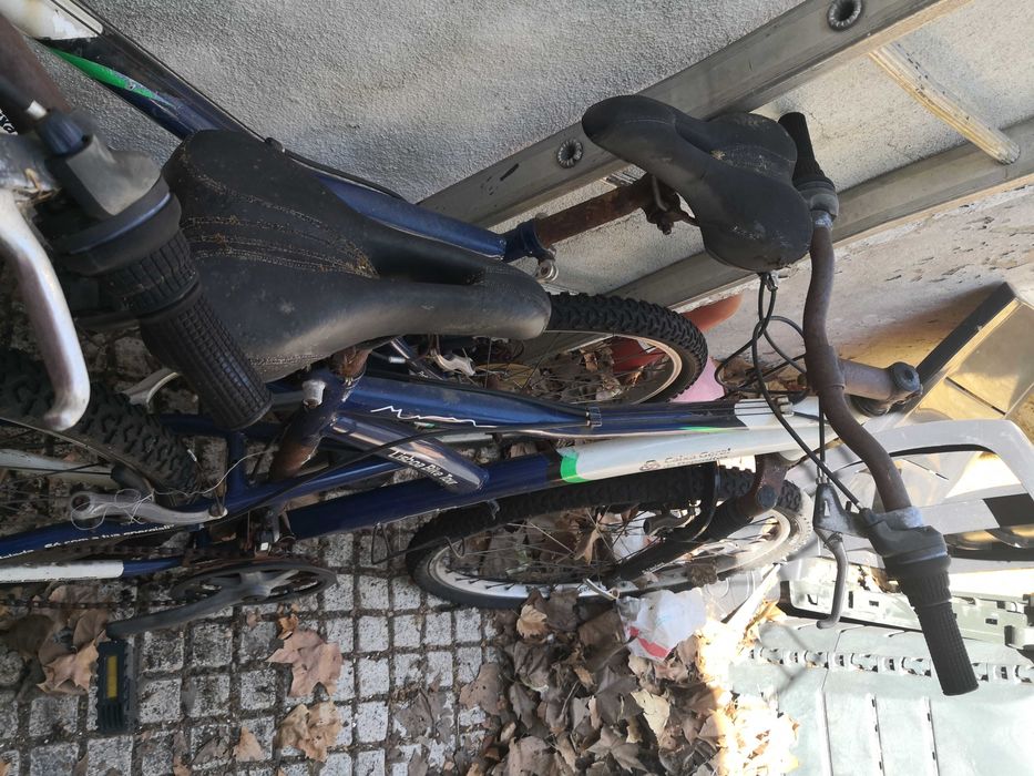Bicicletas CGD Lisboa Bike Tours