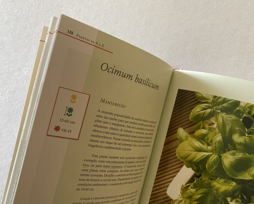 guia das plantas de varanda e do pátio
